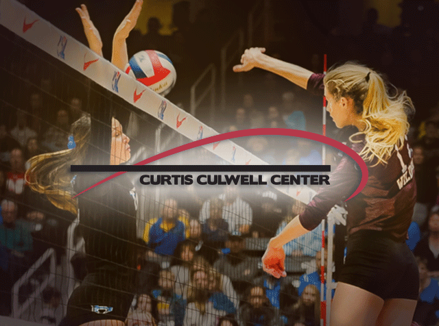 Two volleyball players battle between the net over a ball.