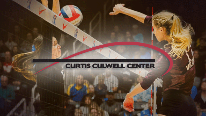 Two volleyball players battle between the net over a ball.