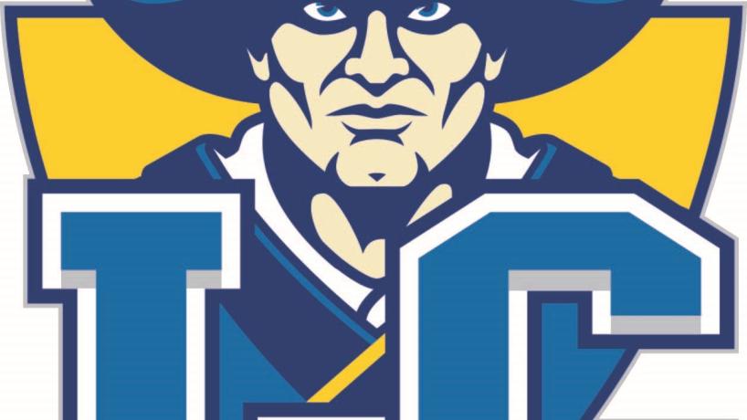 Lakeview Logo